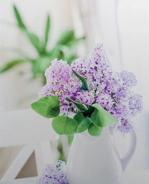 1555639497153815.jpg 22.jpg