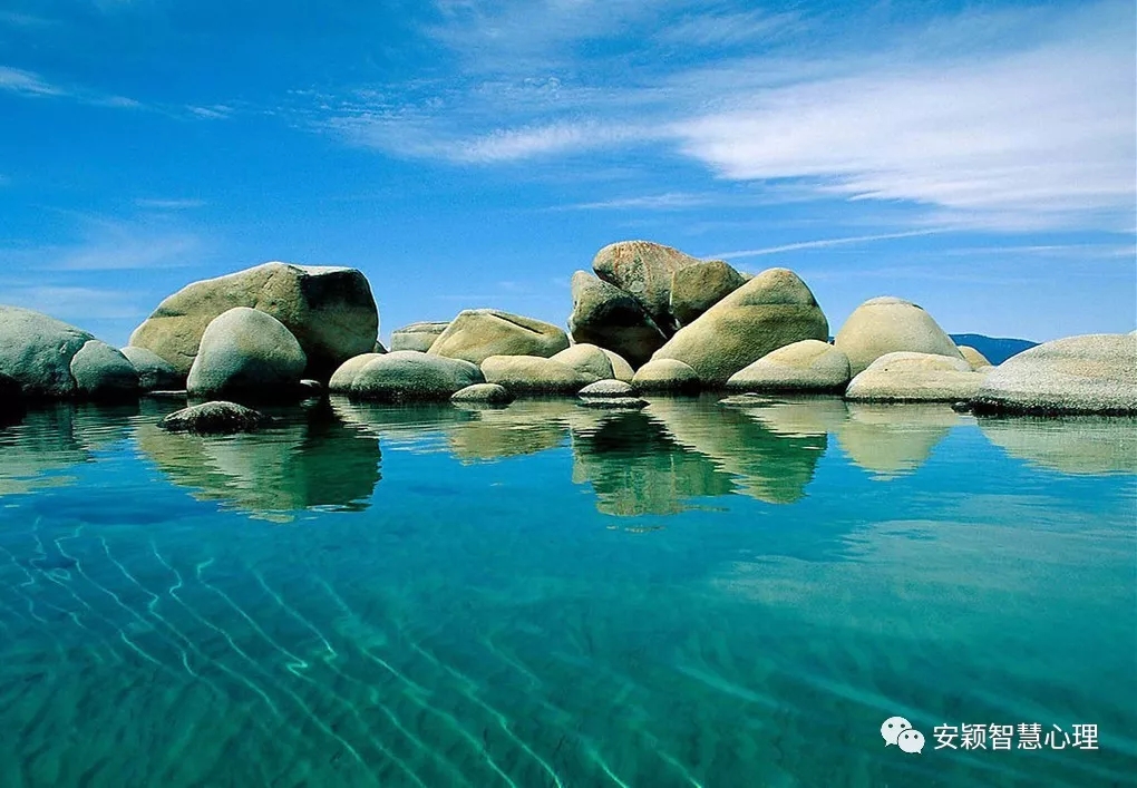 1565248384725156.jpg 640.webp (5).jpg