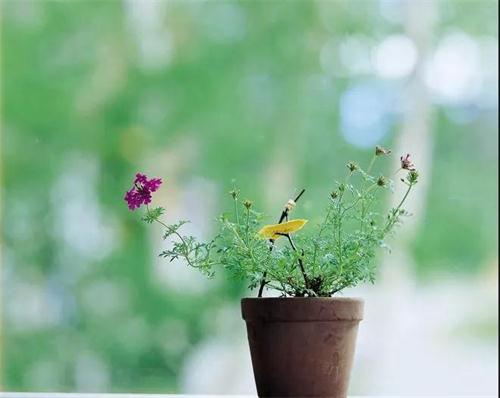 1568688667759705.jpg 微信圖片_20190916103401.jpg